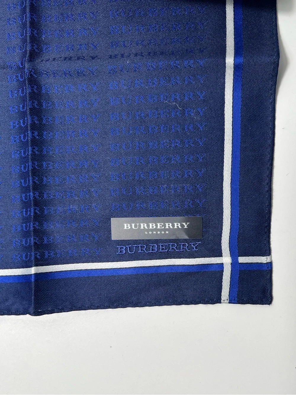 Burberry description elevate